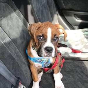 Meet your Posher, Eric